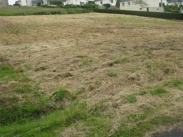 Terrain a batir a vendre Ambrières-les-Vallées 53300 Mayenne 1970 m2  41500 euros