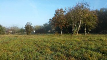 Terrain a batir a vendre Luçay-le-Mâle 36360 Indre 2500 m2  27250 euros
