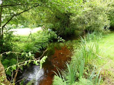 Maison a vendre Lignol 56160 Morbihan 90 m2 4 pièces 168450 euros