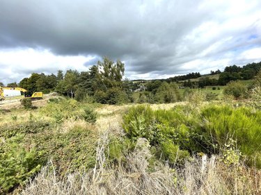 Terrains de loisirs bois etangs a vendre Fournels 48310 Lozère 1707 m2  6900 euros
