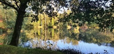 Terrains de loisirs bois etangs a vendre Le Croisty 56540 Morbihan 15350 m2  74400 euros