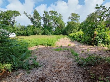 Terrain a batir a vendre Landudec 29710 Finistère 1403 m2  121250 euros