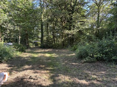 Terrains de loisirs bois etangs a vendre Plouay 56240 Morbihan 25540 m2  22000 euros