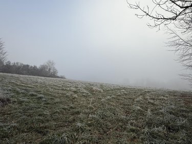 Terrain a batir a vendre Romain 51140 Marne 689 m2  70000 euros