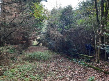 Terrains de loisirs bois etangs a vendre Aizenay 85190 Vendée 12772 m2  54000 euros