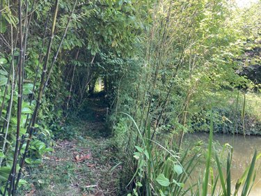 Terrains de loisirs bois etangs a vendre Saint-Germain-le-Fouilloux 53240 Mayenne 3106 m2  28600 euros