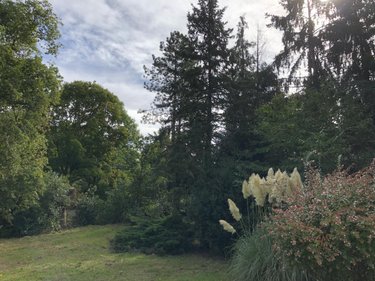 Maison a vendre Écuillé 49460 Maine-et-Loire 157 m2 6 pièces 296610 euros