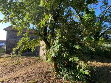 Maison a vendre Saint-Lumine-de-Coutais 44310 Loire-Atlantique 120 m2 3 pièces 110000 euros