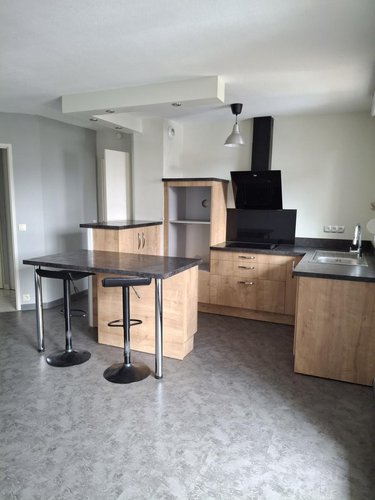 Location appartement Cusset 03300 Allier 45 m2 2 pièces 550 euros