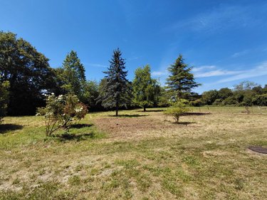 Maison a vendre Belforêt-en-Perche 61130 Orne 75 m2 1 pièce 96300 euros