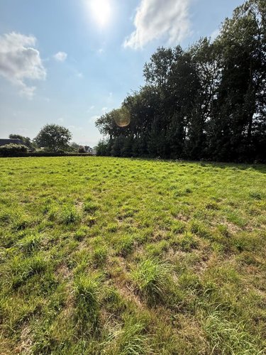 Terrain a batir a vendre Yvetot 76190 Seine-Maritime 1100 m2  110000 euros