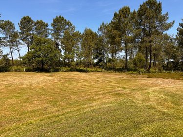 Maison a vendre Pissos 40410 Landes 93 m2 4 pièces 285000 euros