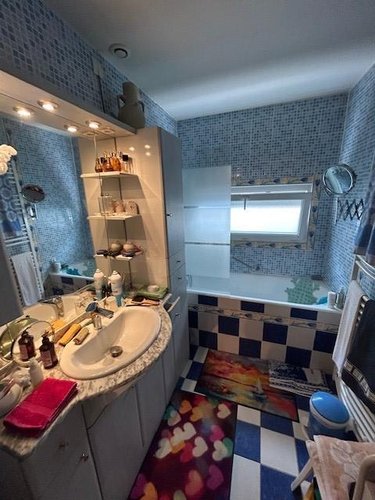 Viager maison Vichy 03200 Allier 105 m2 8 pièces 50000 euros