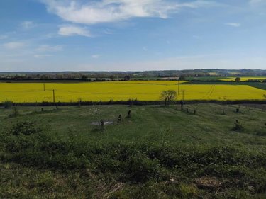 Terrain a batir a vendre Sougé 41800 Loir-et-Cher 3505 m2  31400 euros