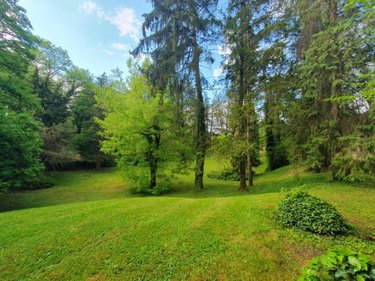 Maison a vendre Serrières-de-Briord 01470 Ain 764 m2 27 pièces 730000 euros