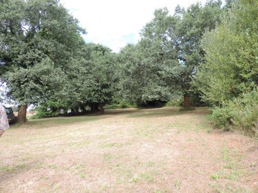 Maison a vendre La Chapelle-Neuve 22160 Côtes-d'Armor 115 m2 6 pièces 125700 euros
