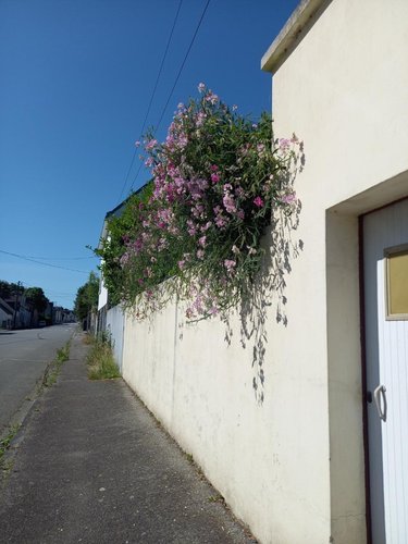 Garage et parking a vendre Gourin 56110 Morbihan 30 m2  23900 euros