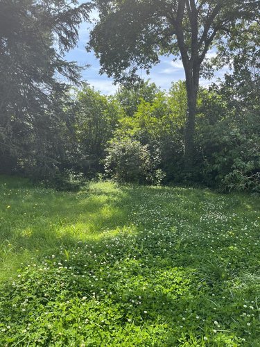 Terrain a batir a vendre Pleuven 29170 Finistère 501 m2  76000 euros