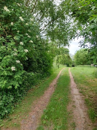 Terrain a batir a vendre Agnez-lès-Duisans 62161 Pas-de-Calais 1800 m2  125000 euros