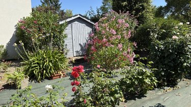 Maison a vendre Sainte-Gemmes-sur-Loire 49130 Maine-et-Loire 124 m2 5 pièces 288750 euros