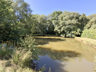 Maison a vendre Pleugriffet 56120 Morbihan 116 m2 5 pièces 175000 euros