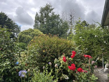 Maison a vendre Châtelaudren-Plouagat 22170 Côtes-d'Armor 93 m2 5 pièces 232480 euros