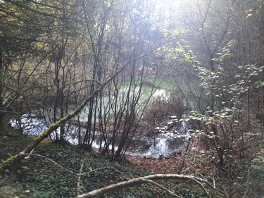 Terrains de loisirs bois etangs a vendre Aizenay 85190 Vendée 12772 m2  54000 euros