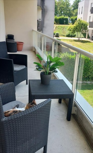 Location appartement Reims 51100 Marne 66 m2 2 pièces 819 euros