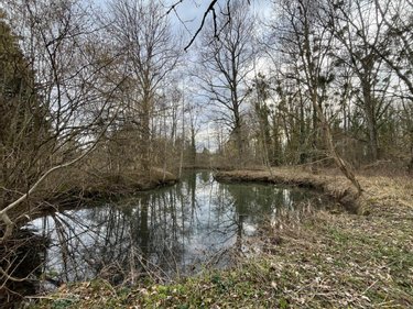 Terrains de loisirs bois etangs a vendre Ferrières-en-Gâtinais 45210 Loiret 3758 m2  34000 euros