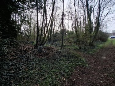 Terrains de loisirs bois etangs a vendre Ames 62190 Pas-de-Calais 1163 m2  28000 euros