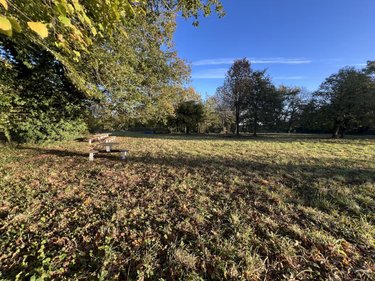 Divers a vendre Plumaudan 22350 Côtes-d'Armor 5908 m2  39700 euros