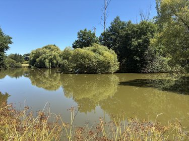 Terrains de loisirs bois etangs a vendre La Bazouge-des-Alleux 53470 Mayenne 45728 m2  120500 euros
