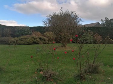 Maison a vendre Taulé 29670 Finistère 162 m2 6 pièces 281340 euros