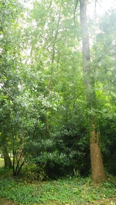 Terrain a batir a vendre Sainte-Flaive-des-Loups 85150 Vendée 760 m2  110150 euros