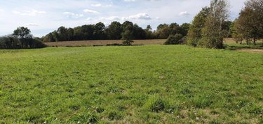 Terrain a batir a vendre Porcaro 56380 Morbihan 1916 m2  41040 euros