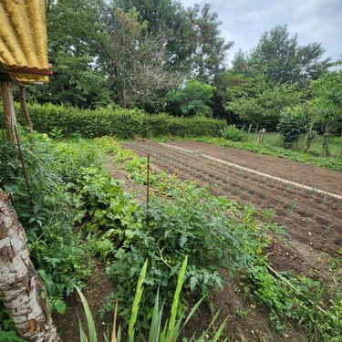 Maison a vendre Avezé 72400 Sarthe 146 m2 6 pièces 520000 euros