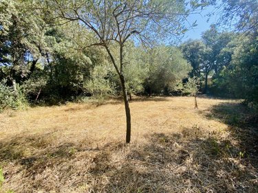 Terrain a batir a vendre Castries 34160 Hérault 800 m2  359850 euros