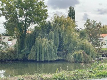 Maison a vendre Marans 17230 Charente-Maritime 106 m2 4 pièces 260000 euros
