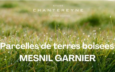 Terrains de loisirs bois etangs a vendre Le Mesnil-Garnier 50450 Manche 5950 m2  3750 euros