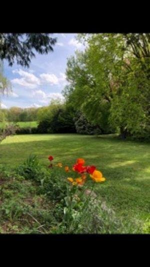 Maison a vendre Walincourt-Selvigny 59127 Nord 282 m2 11 pièces 305000 euros