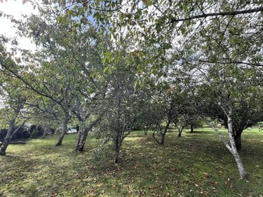 Maison a vendre La Forêt-Fouesnant 29940 Finistère 252 m2 5 pièces 867350 euros