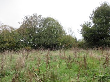 Terrain a batir a vendre Grand-Champ 56390 Morbihan 1299 m2  136120 euros