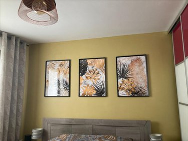 Location appartement Rouen 76000 Seine-Maritime 56 m2 3 pièces 650 euros