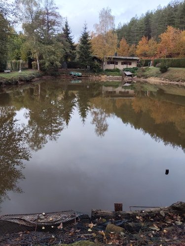 Maison a vendre Pezé-le-Robert 72140 Sarthe 49 m2 2 pièces 63600 euros