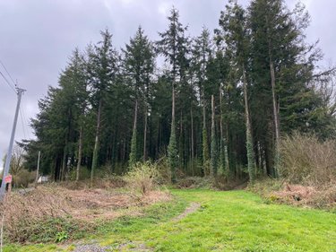 Terrains de loisirs bois etangs a vendre Champ-du-Boult 14380 Calvados 36976 m2  56710 euros