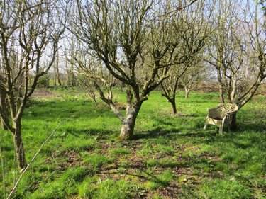 Maison a vendre Estry 14410 Calvados 76 m2 3 pièces 85600 euros