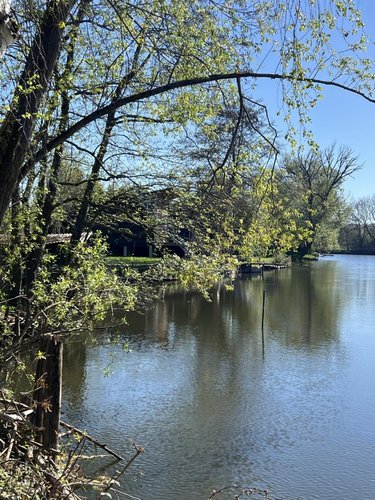 Terrains de loisirs bois etangs a vendre Pezou 41100 Loir-et-Cher 713 m2  8000 euros