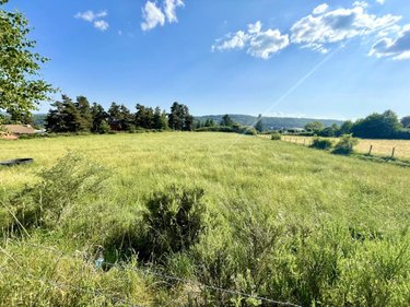 Terrain a batir a vendre Peyre en Aubrac 48130 Lozère 2600 m2  45000 euros