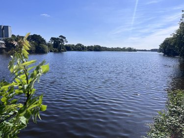 Maison a vendre Theix-Noyalo 56450 Morbihan 120 m2 5 pièces 299250 euros