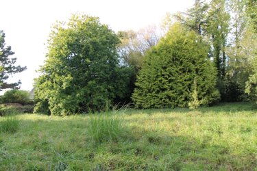 Terrain a batir a vendre Le Palais 56360 Morbihan 2137 m2  362250 euros